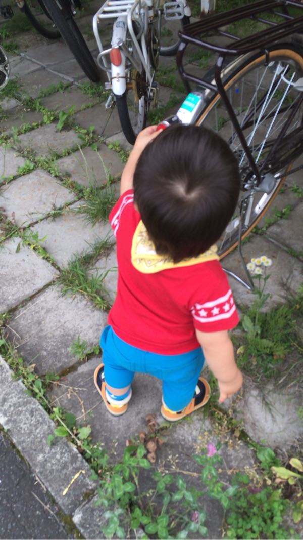 rblog-20160801221211-07.jpg