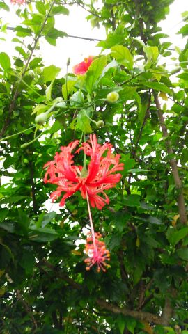 rblog-20140702205529-02.jpg