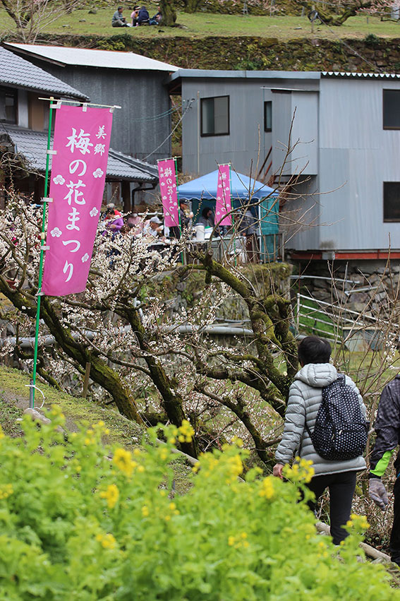 美郷梅の花ウォーク-03♪
