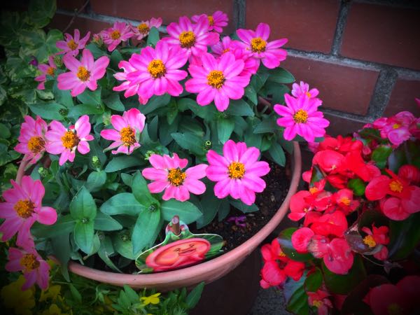 rblog-20160528224739-06.jpg