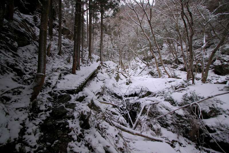 川上村_005.jpg
