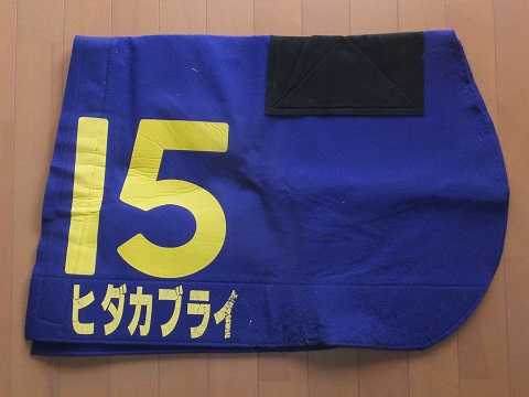 ヒダカブライアン（元阪神競馬場誘導馬） | 誘導馬グッズコレクション