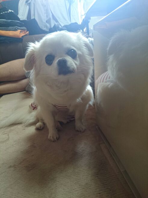 rblog-20140705231545-04.jpg
