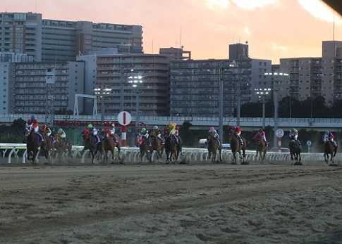 4ページ目の 高橋 華代子 地方競馬の楽天競馬 日替わりライターブログ 楽天ブログ