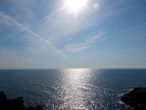 海　猫　田舎　空　夕日