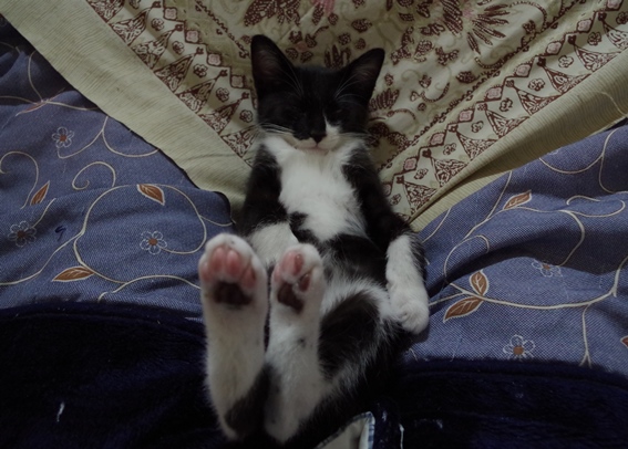 mari_2014111302.JPG