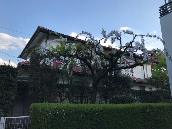 rblog-20180408180536-03.jpg