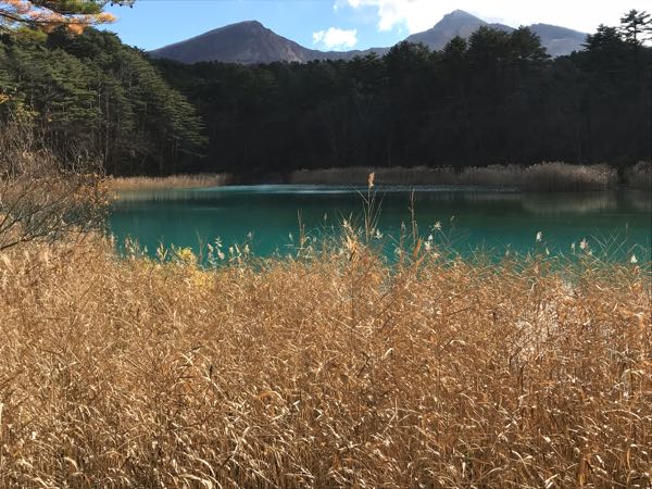 rblog-20181120181333-04.jpg