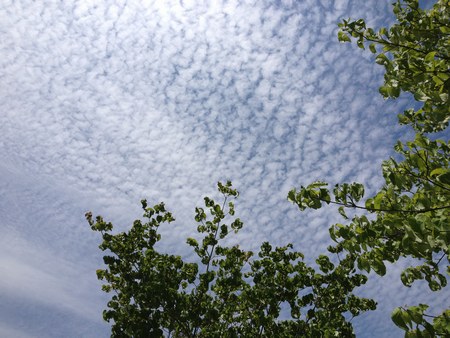 空