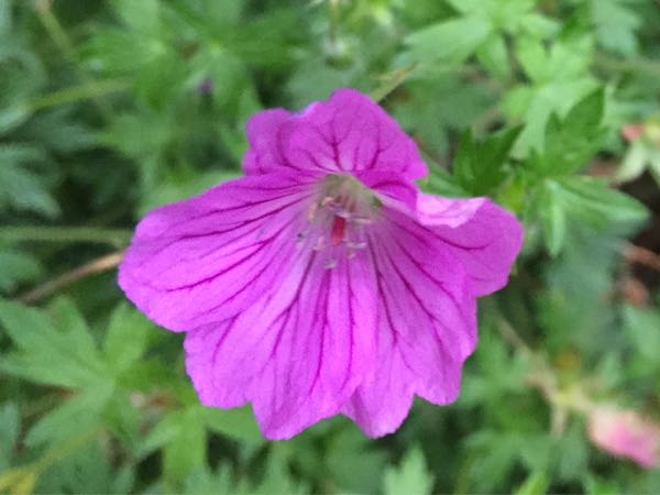 rblog-20160627210033-02.jpg