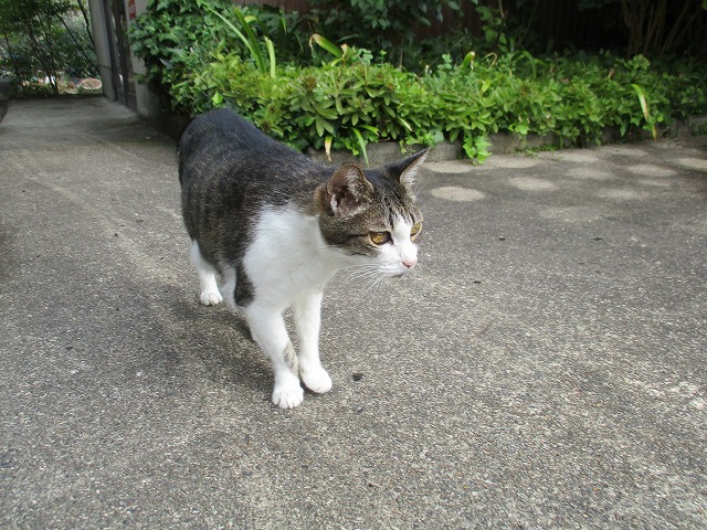 IMG_9981ss.jpg