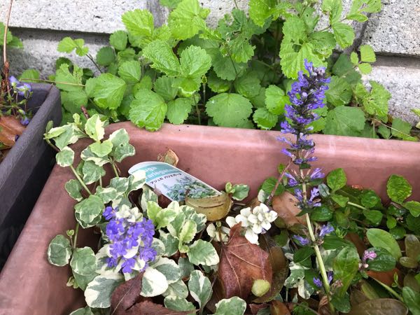 rblog-20190426181100-08.jpg