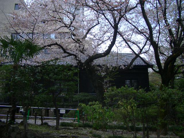 平成24年4月13日　乃木神社　春の崇敬者大祭 005.JPG