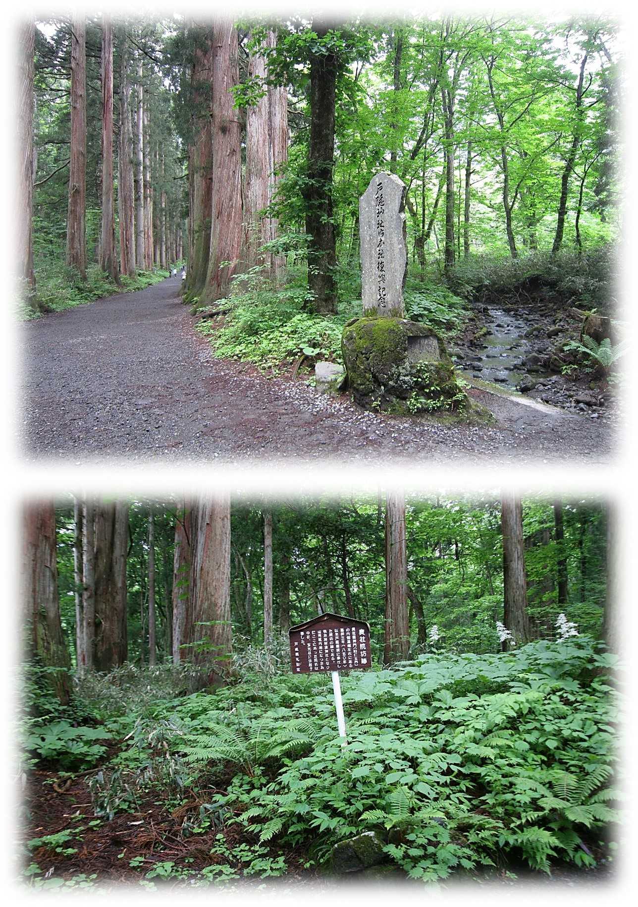 キャンプしがてら戸隠神社五社巡り「奥社、九頭龍社」  おやじの 