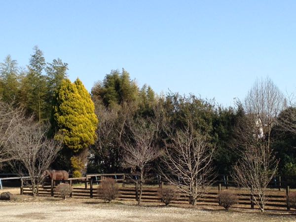 rblog-20160229165519-03.jpg