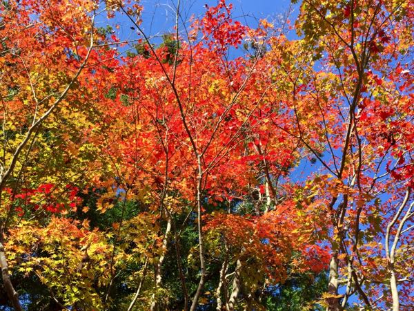 rblog-20171111182716-04.jpg