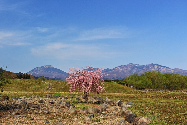 ４.日光連山と桜.JPG