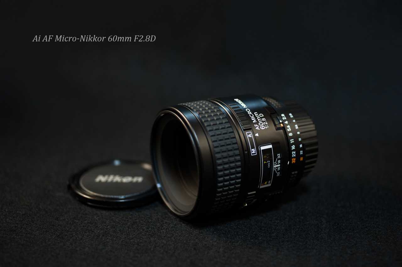 Ai AF Micro-Nikkor 60mm F2.8D」の魅力Nikon 60mmマイクロは2本 