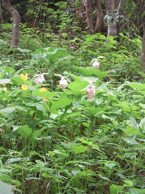 DSCN0138.jpg
