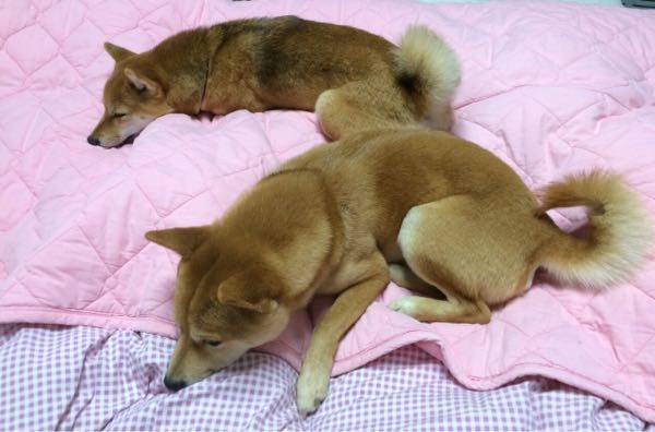 rblog-20160104014324-13.jpg