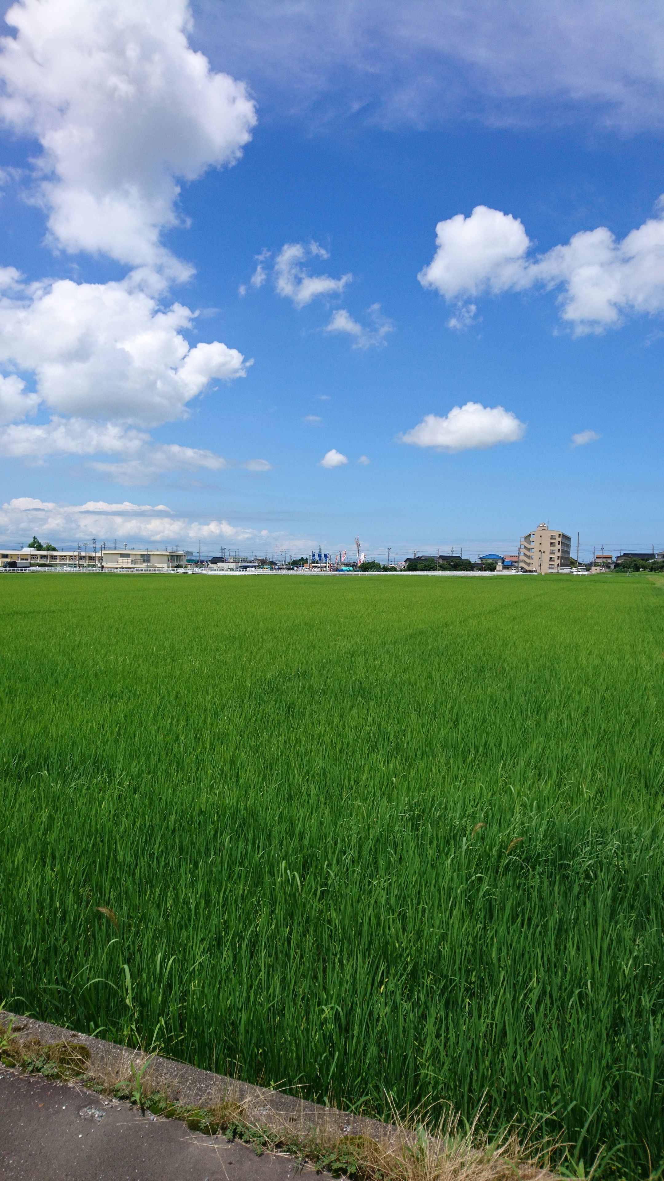 富山大学杉谷キャンパス周辺のブログ 楽天ブログ