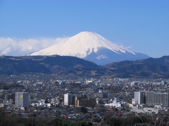 秦野fujiyama.jpg