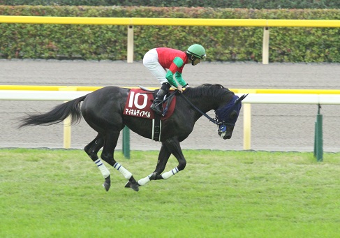 マイネルディアベル４.jpg