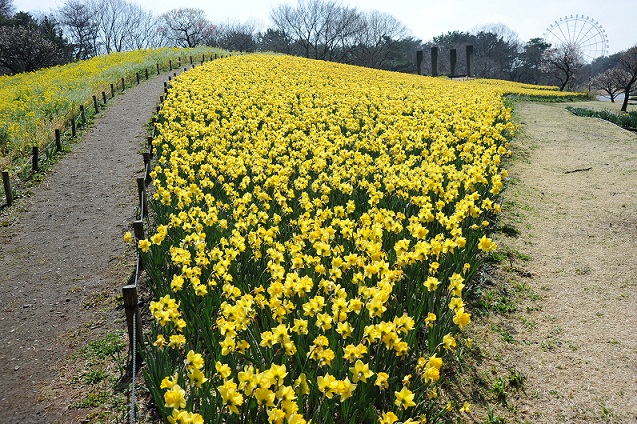 2013.3.22 009.JPG