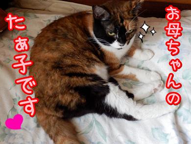 お母さん.JPG