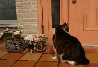 P1310722-ass.jpg