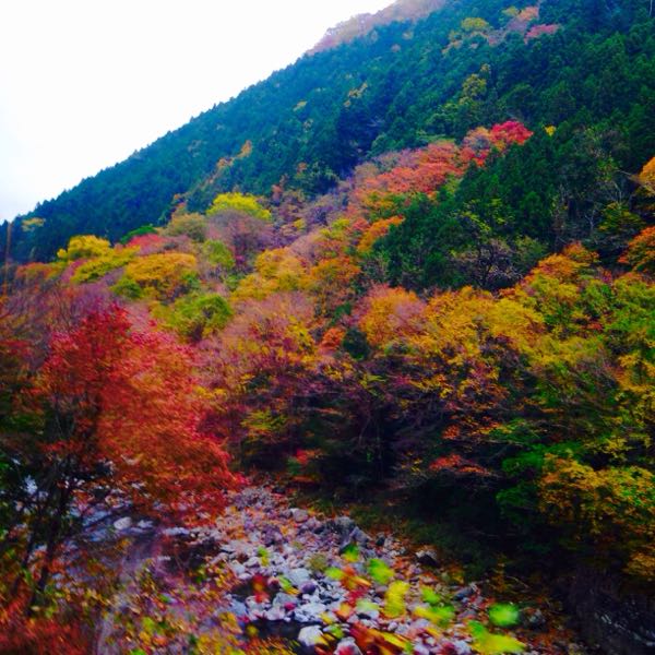 rblog-20141112114214-02.jpg