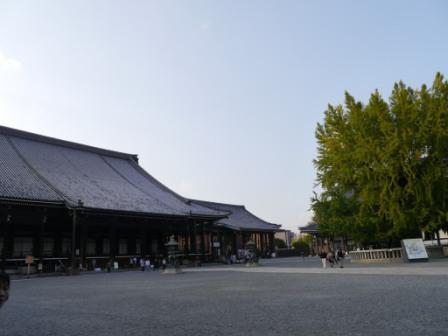 P1060077-1.jpg