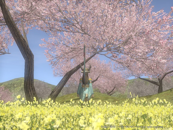 miwa