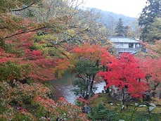 DSC_1929 - コピー.jpg