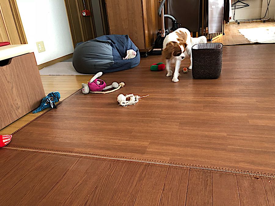 rblog-20181114100110-03.jpg