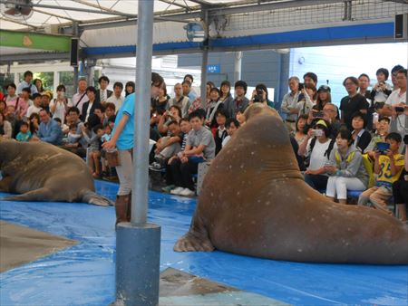 鳥羽水族館