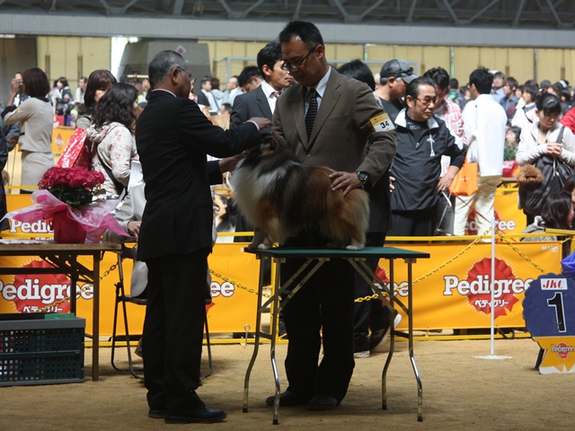 IMG_1494 - コピー.JPG