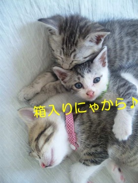 20120912_4.jpg