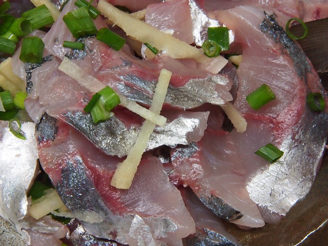 P1050020.jpg
