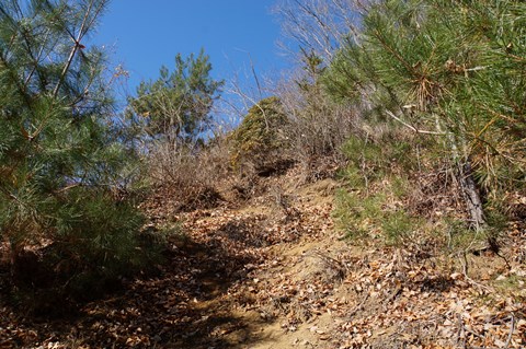 DSC08118.JPG