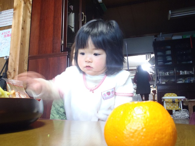 Kちゃん　2.jpg