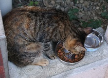 IMG_0440-20.jpg