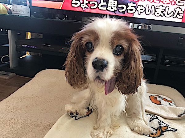 rblog-20180220102312-01.jpg