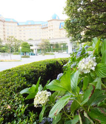 2012Flower58