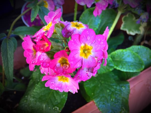 rblog-20151229111114-04.jpg