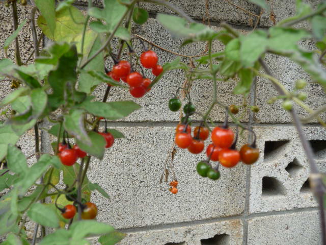 17 実