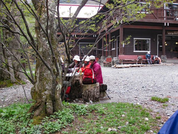 ニリンソウ咲く 上高地 南北 山小屋情報 花を訪ねる山旅 楽天ブログ