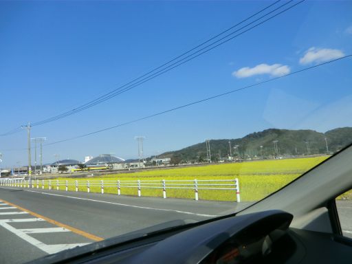 CIMG5214_512.jpg