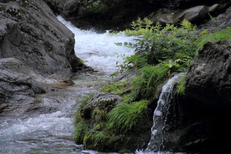 山上川_003.jpg