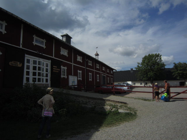 svinderviken0809 055.JPG